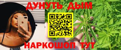 прущие крисы Моздок