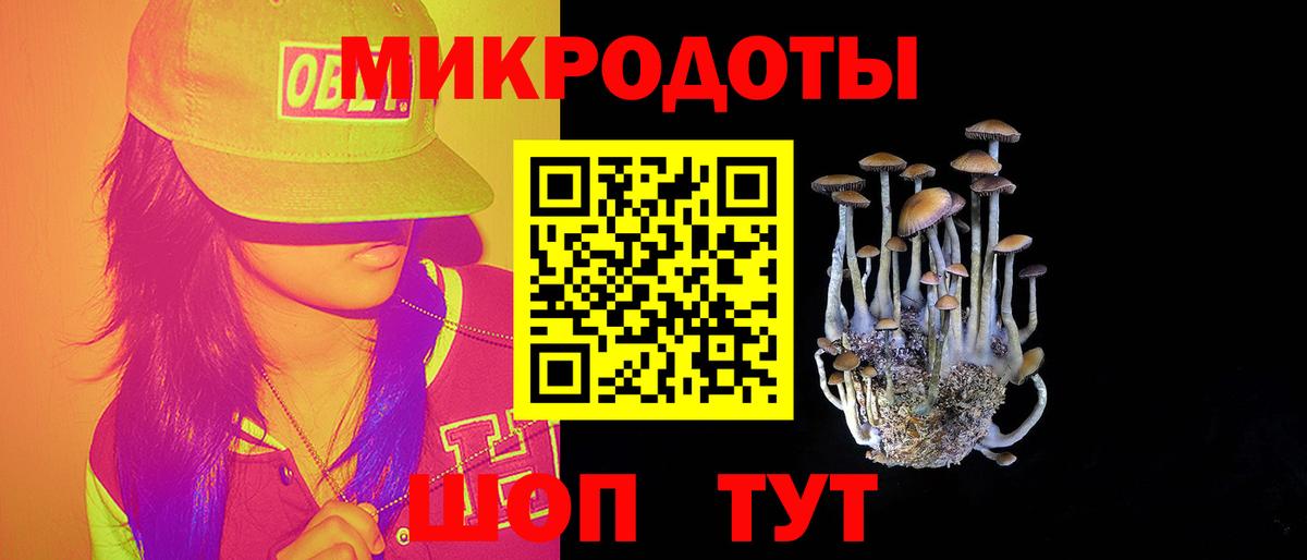 Галлюциногенные грибы Psilocybe Альметьевск